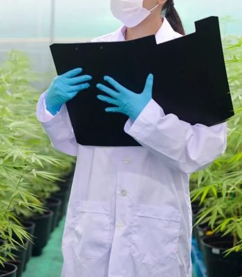 Papel do farmacêutico na Medicina Canábica